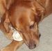Mary Lang Cartmill - Facebook