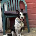 Mary Cartwright - @mary.cartwright.33 - Instagram