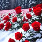 Mary Casas - Facebook