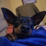 Mary Casares - @casares9264 - Instagram