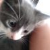 Mary Casares - Facebook