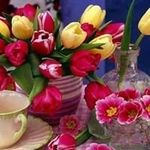 Mary Casares - @mary.casares.73 - Instagram