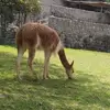 Mary Casilla - @mary.casilla0 - TikTok