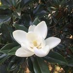 Mary Caskey - @marymcaskey - Instagram