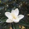 marycaskey595 - @marycaskey595 - TikTok