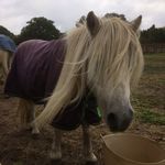 Mary Christina Scully Cason - @missippimudpie123 - Instagram