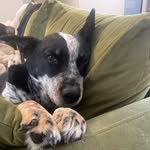 Mary Casperson - @marydblo7 - Instagram