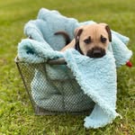 Mary Cassell Andrews - @mary.davis.779 - Instagram