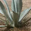 Mary Cast - @mary.cast35 - TikTok