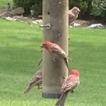 Mary Castlen McKinney - @mckinney9458 - Instagram