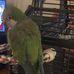 Mary Cates - Facebook
