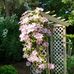 Mary Cates - Facebook