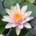 Mary Cates Holistic Bodywork For Women - Facebook