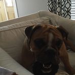 Mary Williams Cavalier - Facebook