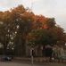 Saint Mary the Virgin Cavendish - Facebook