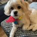 Mary Kupiec Cayton - Facebook