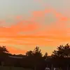 Mary Cechovsky - @marycechovsky - TikTok