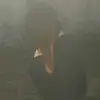 маруся - @marycechkar - TikTok