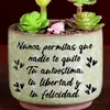 Mary Cedillo - @mary.cedillo7 - TikTok