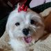 Mary Griffith Chalupsky - Facebook