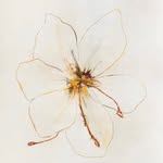 Mary Chamberlain - @marychamberlainart - Instagram