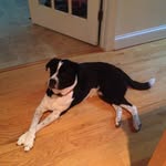 Mary Chambliss - @jenny_678 - Instagram
