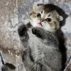 Mary Champ - @mary.champ91 - TikTok