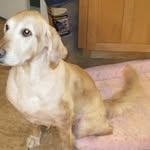 Mary Krolak Charron - @mary.k.charron - Instagram