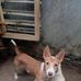 Moro Chanel - Facebook