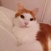 Mary Chitty - @foofoo1975 - TikTok