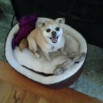 Mary Chunko - @marychunko - Instagram