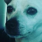 MaryCicco04 - @marycicco_04 - Instagram