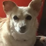Mary Cinotto Edmonson - @marycinottoedmonson - Instagram