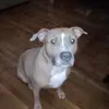 Mary Cintron621 - @marycintron621 - TikTok