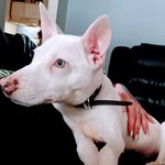 Mary Clapper - @maryclapper9 - Instagram
