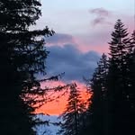 Mary-Claude Baumgartner - @maryclaudebaumgartner - Instagram