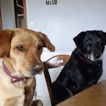 Mary Claude Couturier - @maryclaudecouturier - Instagram