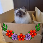 Mary-Claude Pellaux - @maryclaudepellau - Instagram