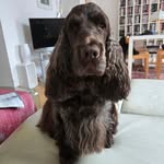 Mary-Claude Taillens - @maryclaudetaillens - Instagram
