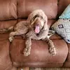 maryclifton978 - @maryclifton978 - TikTok