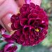 Mary Cloonan Stoner - Facebook