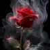 Mary Cloud - Facebook
