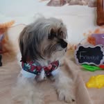 Mary Adele Cluck - @maryadele1952 - Instagram