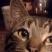 MaryAnn Colgate - Facebook