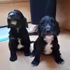 Marie Colledge - @marie.colledge - TikTok