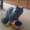Mary - @mary.collinss - TikTok