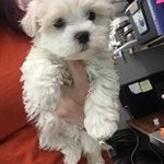 Mary Collopy - @marycollopy - Instagram