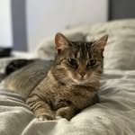 along comes Mary - @along__comes__mary - Instagram