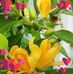 Mary Comiskey - Facebook