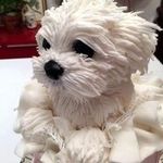 Mary Conkey - @conkey_mary - Instagram